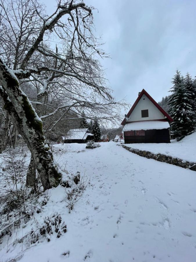 Cottage In The Wild Pjescanica Kolašin Exterior foto