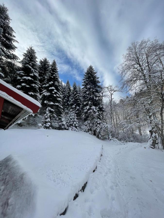 Cottage In The Wild Pjescanica Kolašin Exterior foto