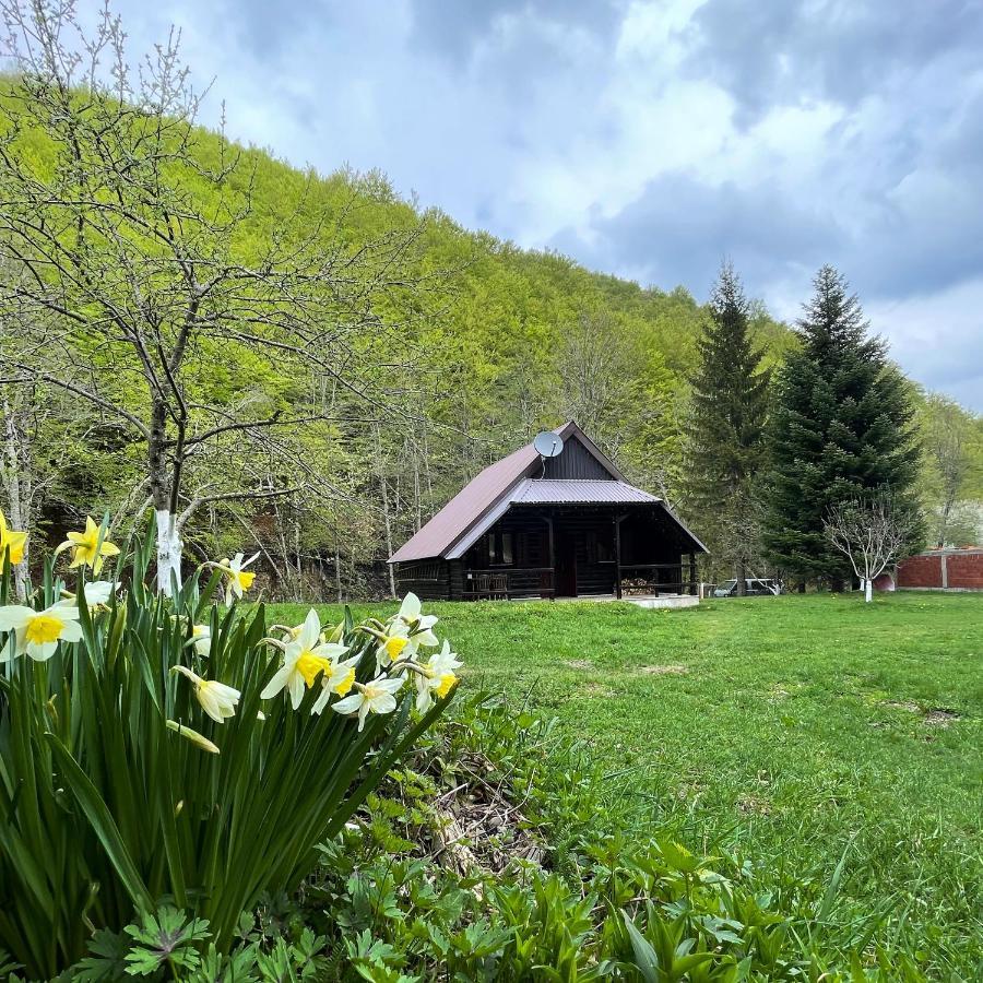 Cottage In The Wild Pjescanica Kolašin Exterior foto