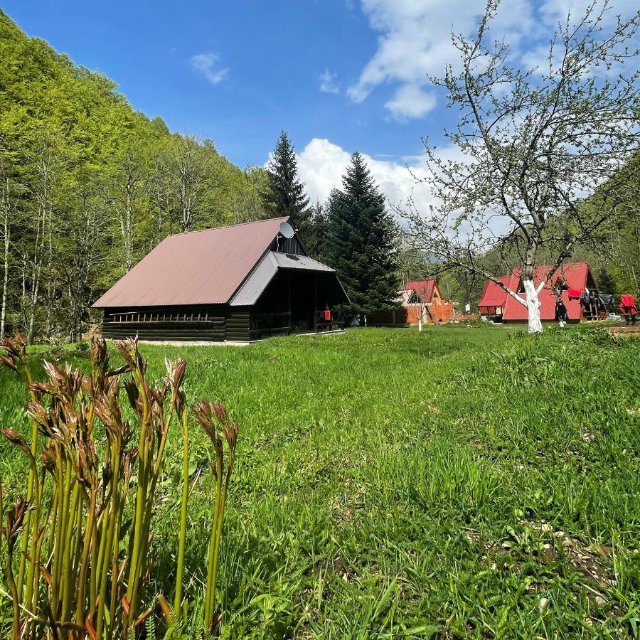 Cottage In The Wild Pjescanica Kolašin Exterior foto