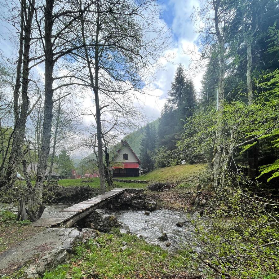 Cottage In The Wild Pjescanica Kolašin Exterior foto